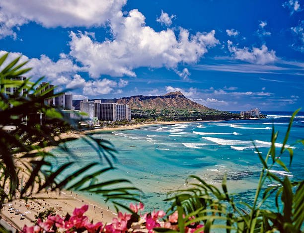 Things To Do In Honolulu: Your Essential Guide To Beaches, Food, Culture & Adventure
